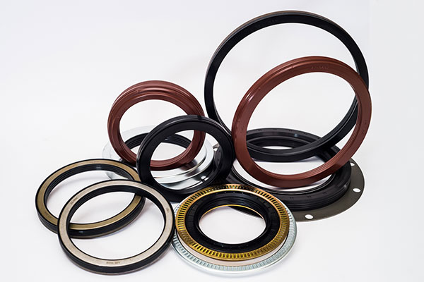 PTFE Lip Seals